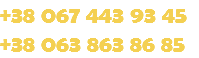+38 067 443 93 45 +38 063 863 86 85